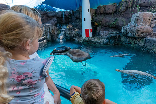 Sea Life Mooloolaba